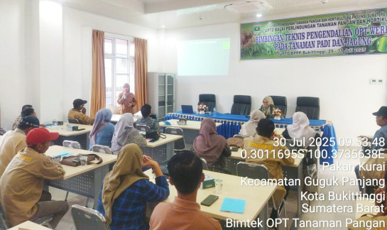 Pelatihan Bioekologi Wereng Padi Bersama Dr. My Syahrawati